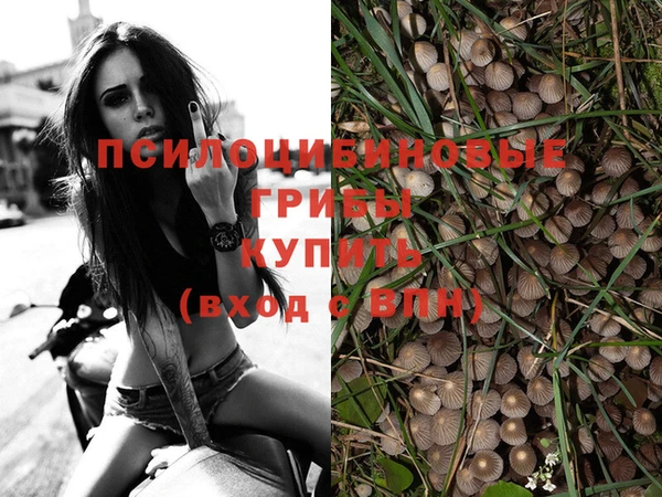2c-b Бронницы