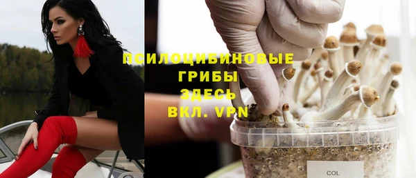 трава Няндома