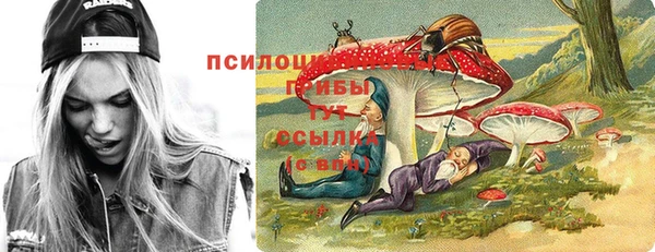 трава Няндома