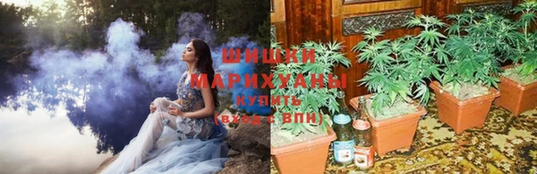 эйфоретик Новокубанск