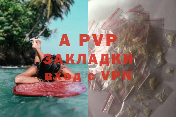 эйфоретик Новокубанск
