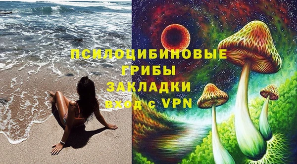 трава Няндома