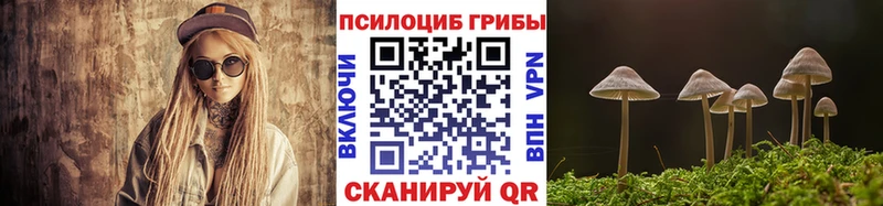 что такое наркотик  Куйбышев  Псилоцибиновые грибы мицелий 