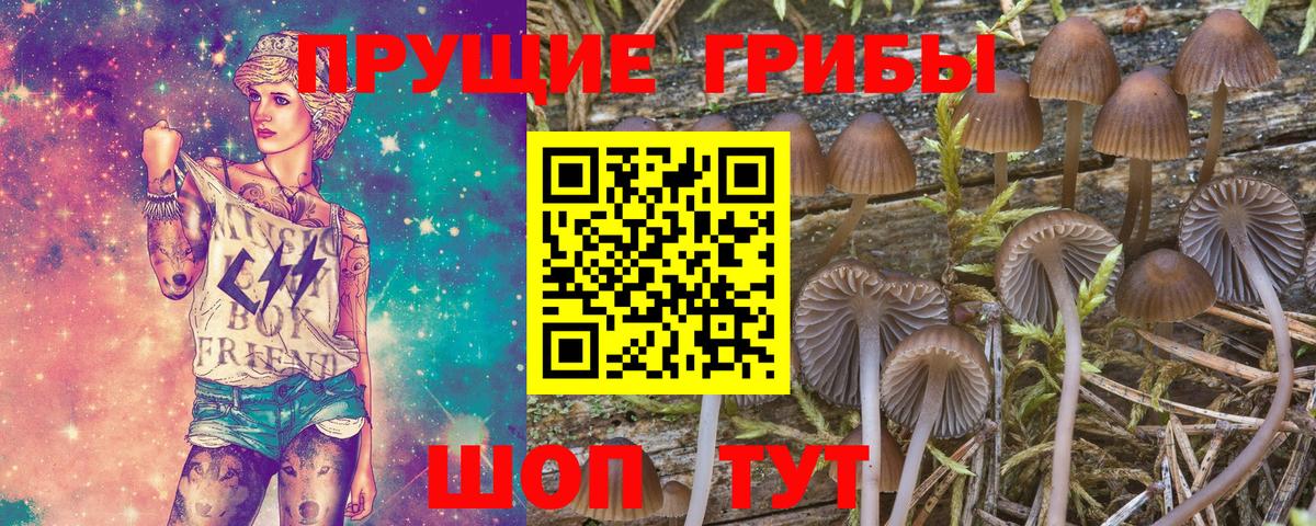 Псилоцибиновые грибы GOLDEN TEACHER  Псилоцибиновые грибы ЛСД  Вход с VPN  Куйбышев 